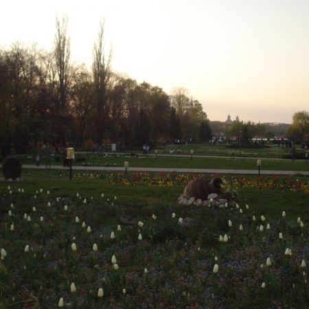 Herastrau (mihaela)